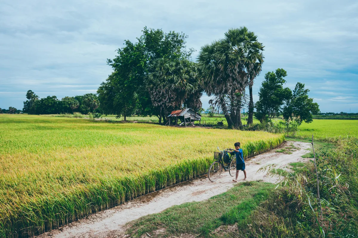 Les plus belles actions écoresponsables dans le tourisme !
