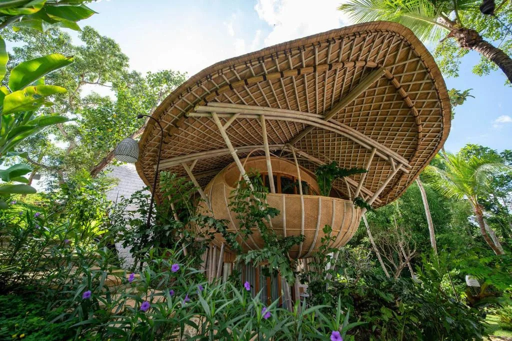 Cocoon Jungle