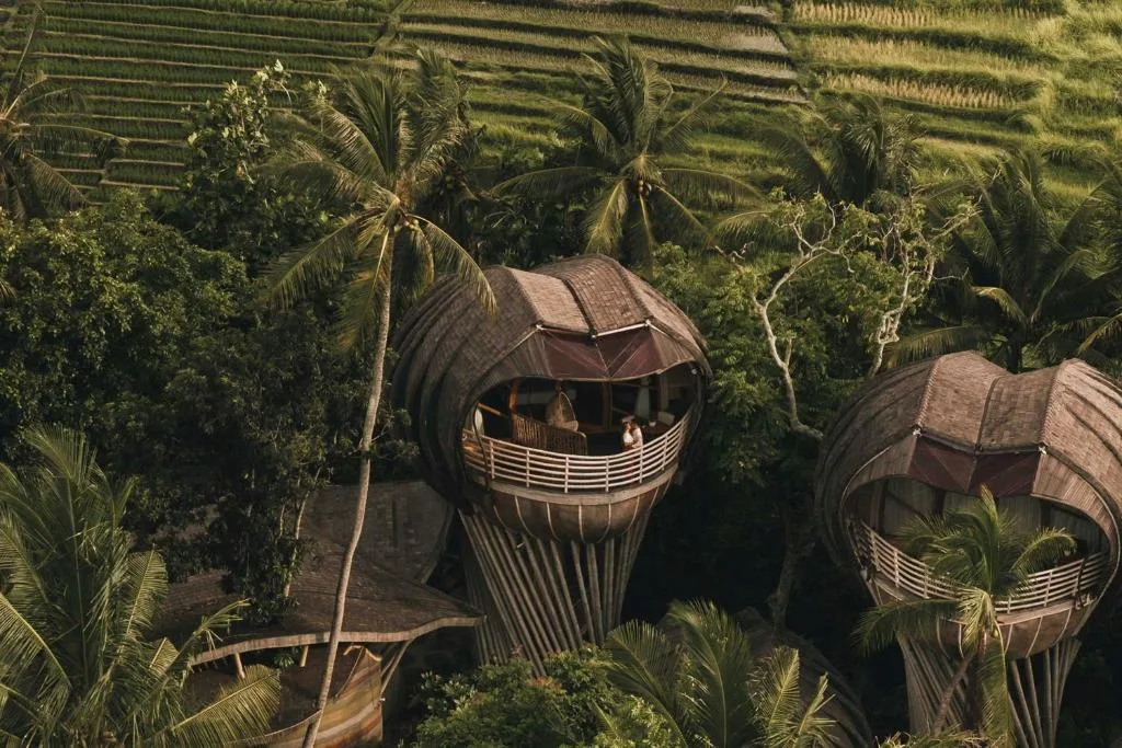 Avatar Tree House 