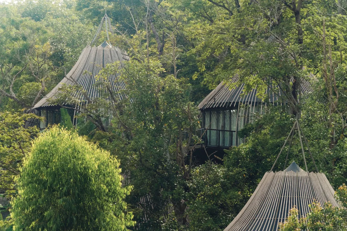 Tree villa avec piscine privée