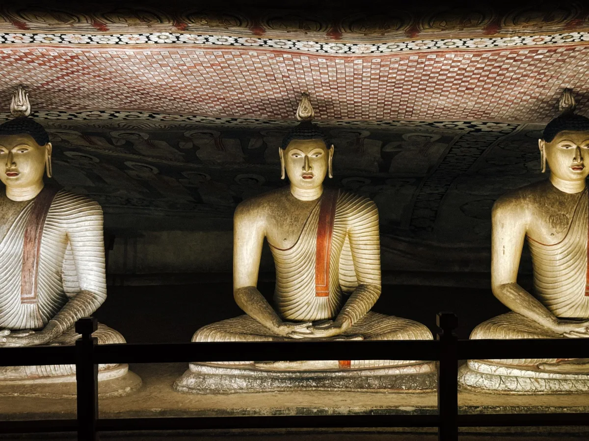 Jour 2 — Negombo - Dambulla - Sigiriya
