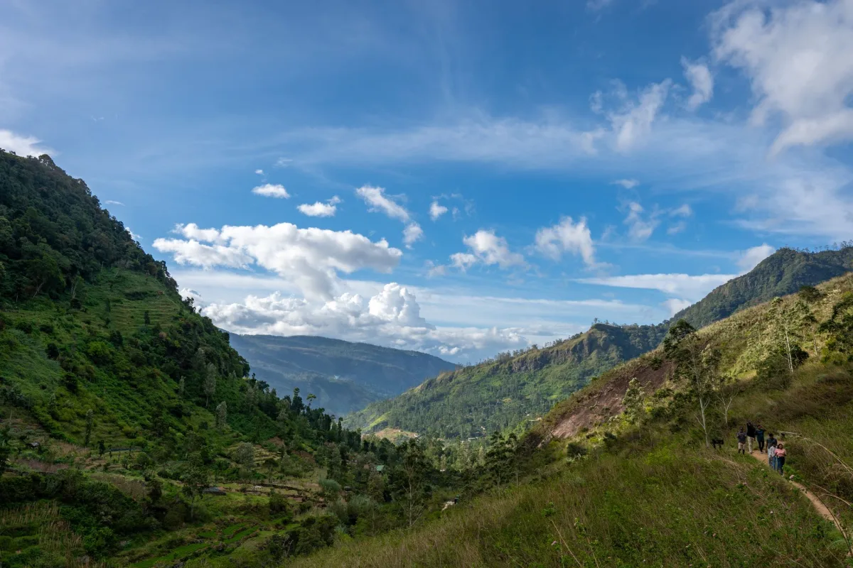 Jour 7 —  Mandaram Nuwara